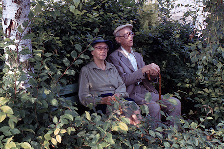 1982
                Wilhelminensruhe