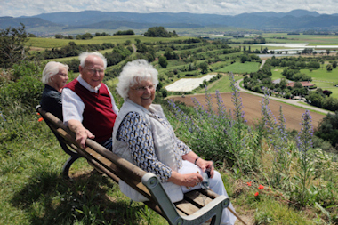 Ilse
                      etc