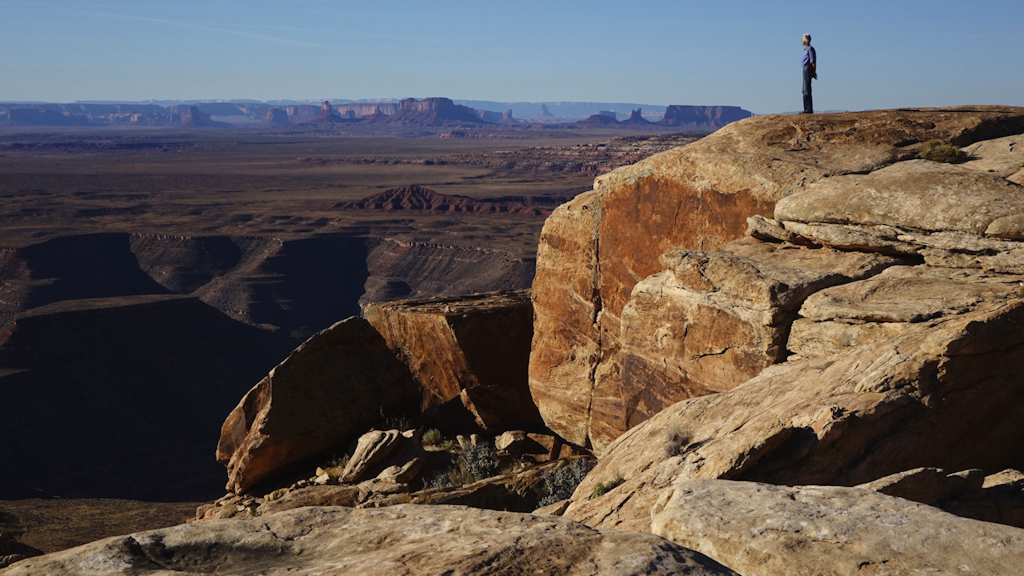 Muley
                      Pointt